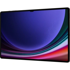 Планшет Samsung Galaxy Tab S9 Ultra Wi-Fi 12/256GB Graphite (SM-X910)