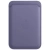 Wisteria