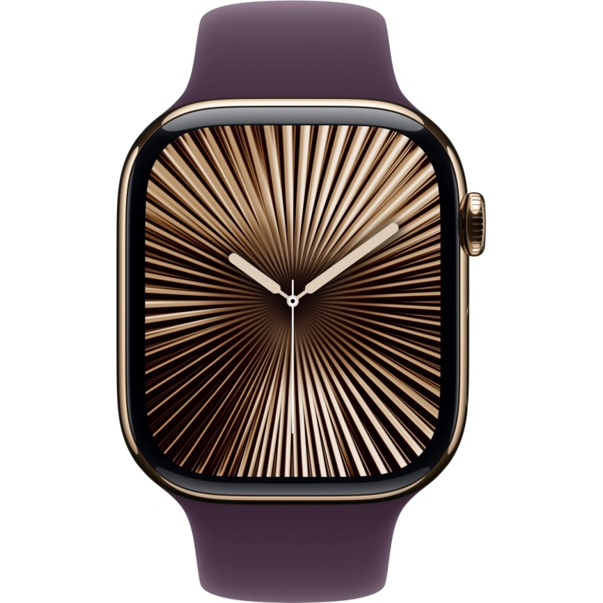 Ремешок Apple Watch 46mm Plum Sport Band M/L фото 2