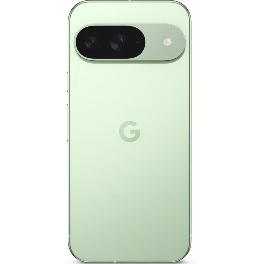 Смартфон Google Pixel 9 12/256Gb Wintergreen фото 2