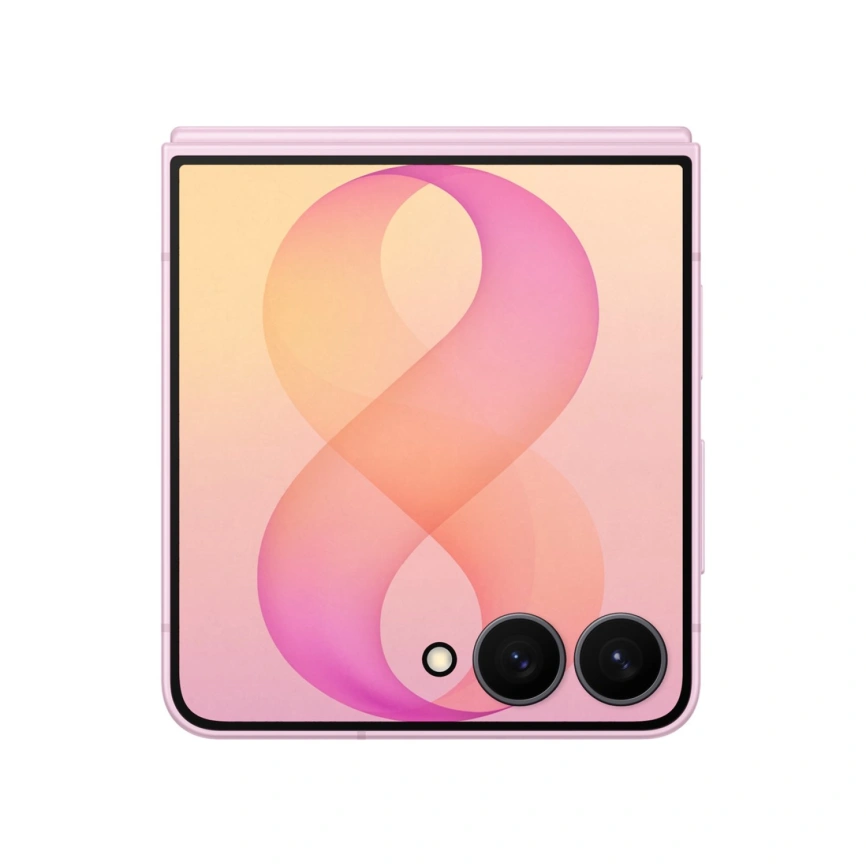 Смартфон Samsung Galaxy Z Flip8 SM-F776B 12/256GB Pink фото 9